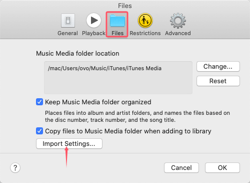 Apple Music Files Import Settings