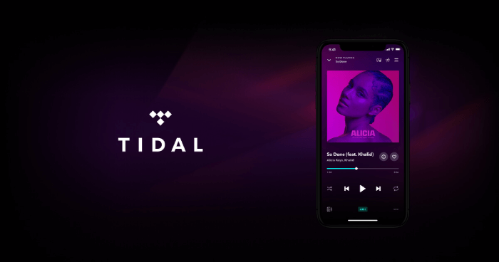 Apple Music Alternative Tidal