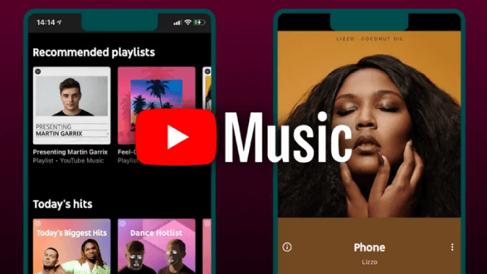 Apple Music Alternative YouTube Music